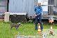 Welpen 13.09.2025 18
